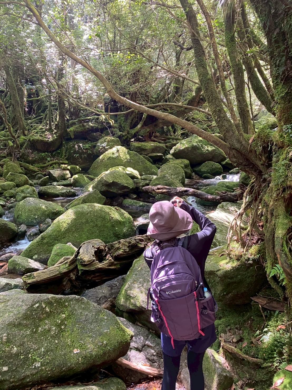 初めての屋久島旅行|行く前に知りたかった注意点まとめ